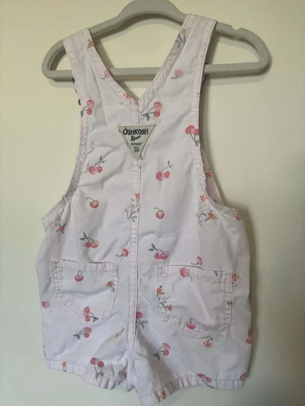 OshKosh B'gosh Pink Cherry and Floral Print Shortall Overalls